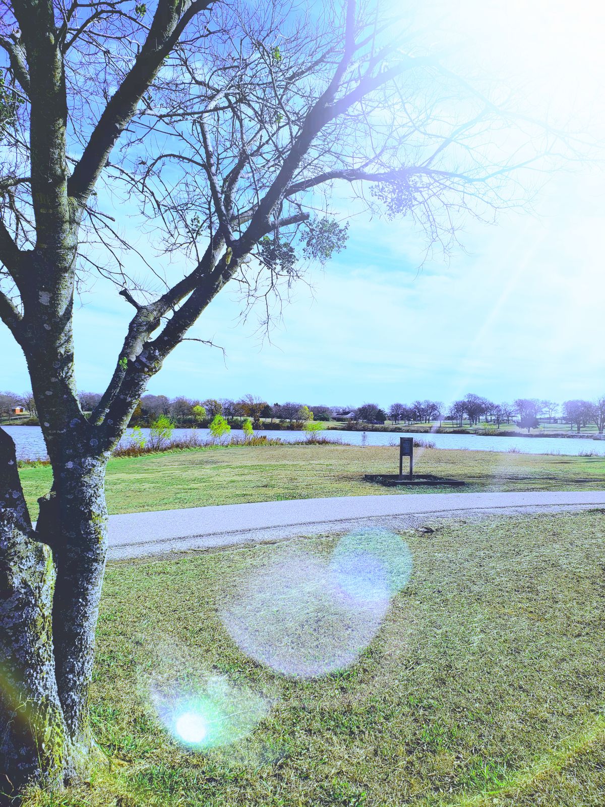 Inbounds walking path splitting the fairway