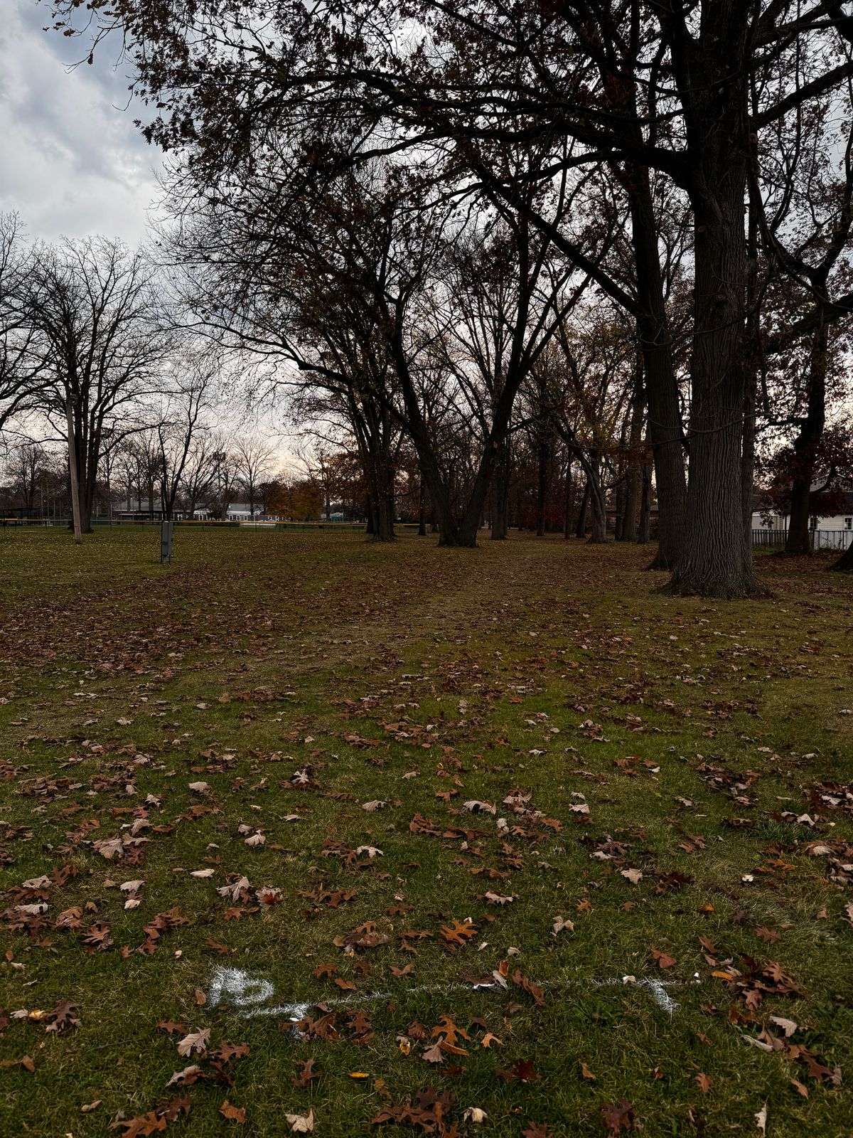 Hole 15
