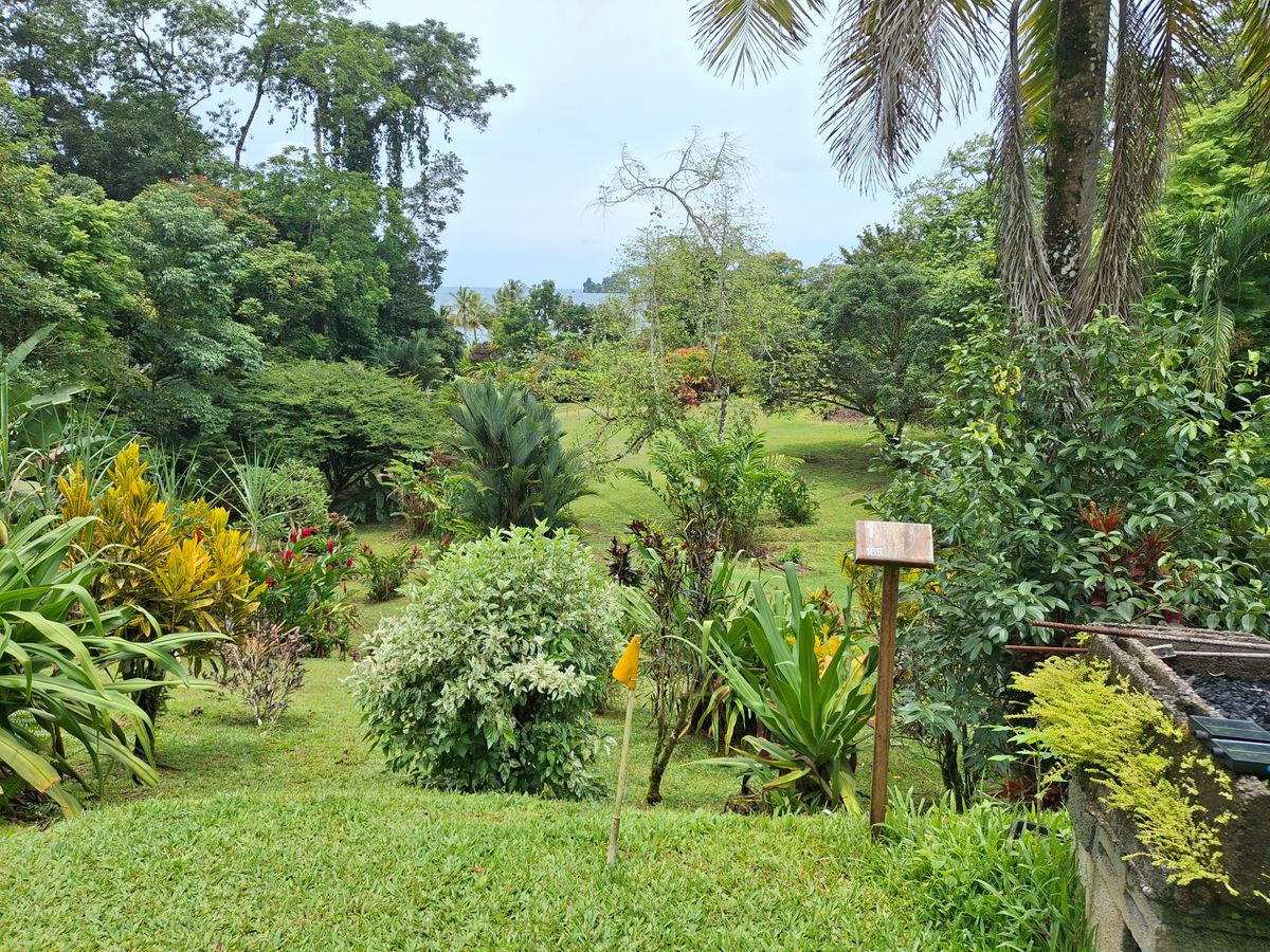 Hole 1