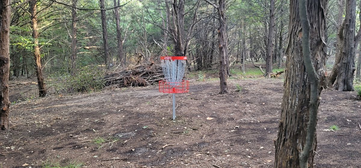 hole 4 basket