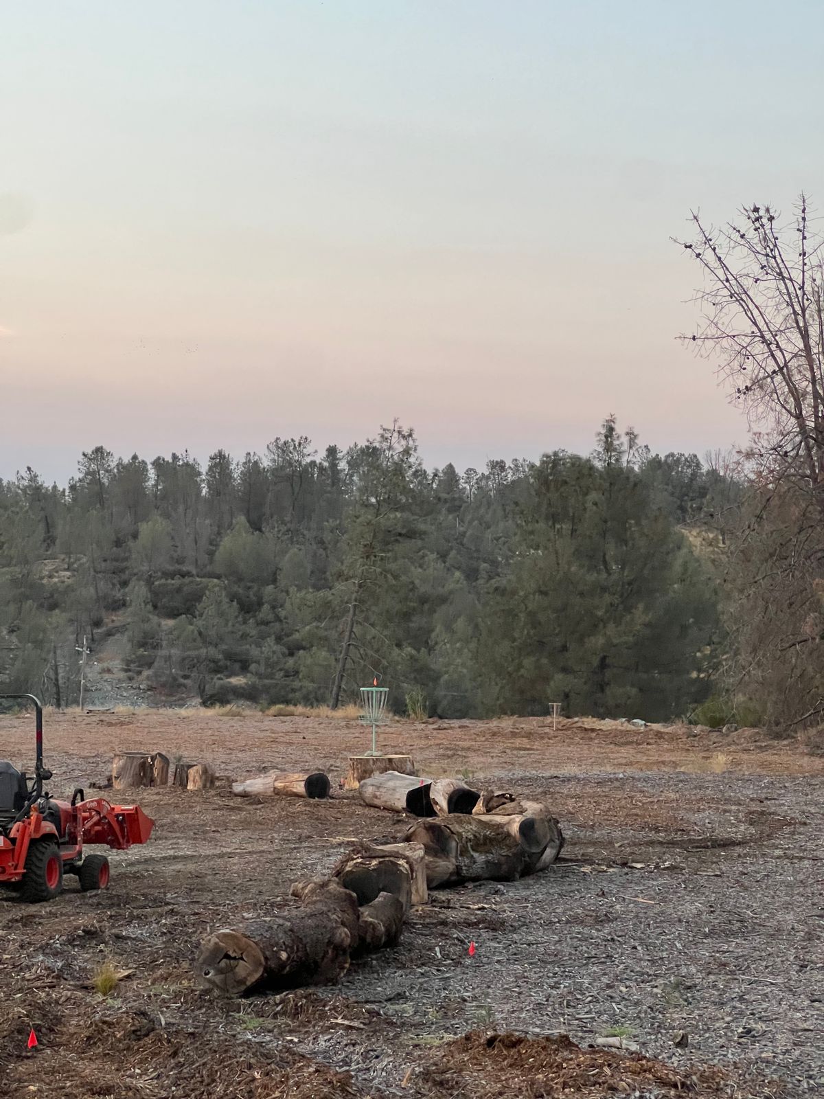 Hole 5 (left of log and past creek behind basket is O.B)