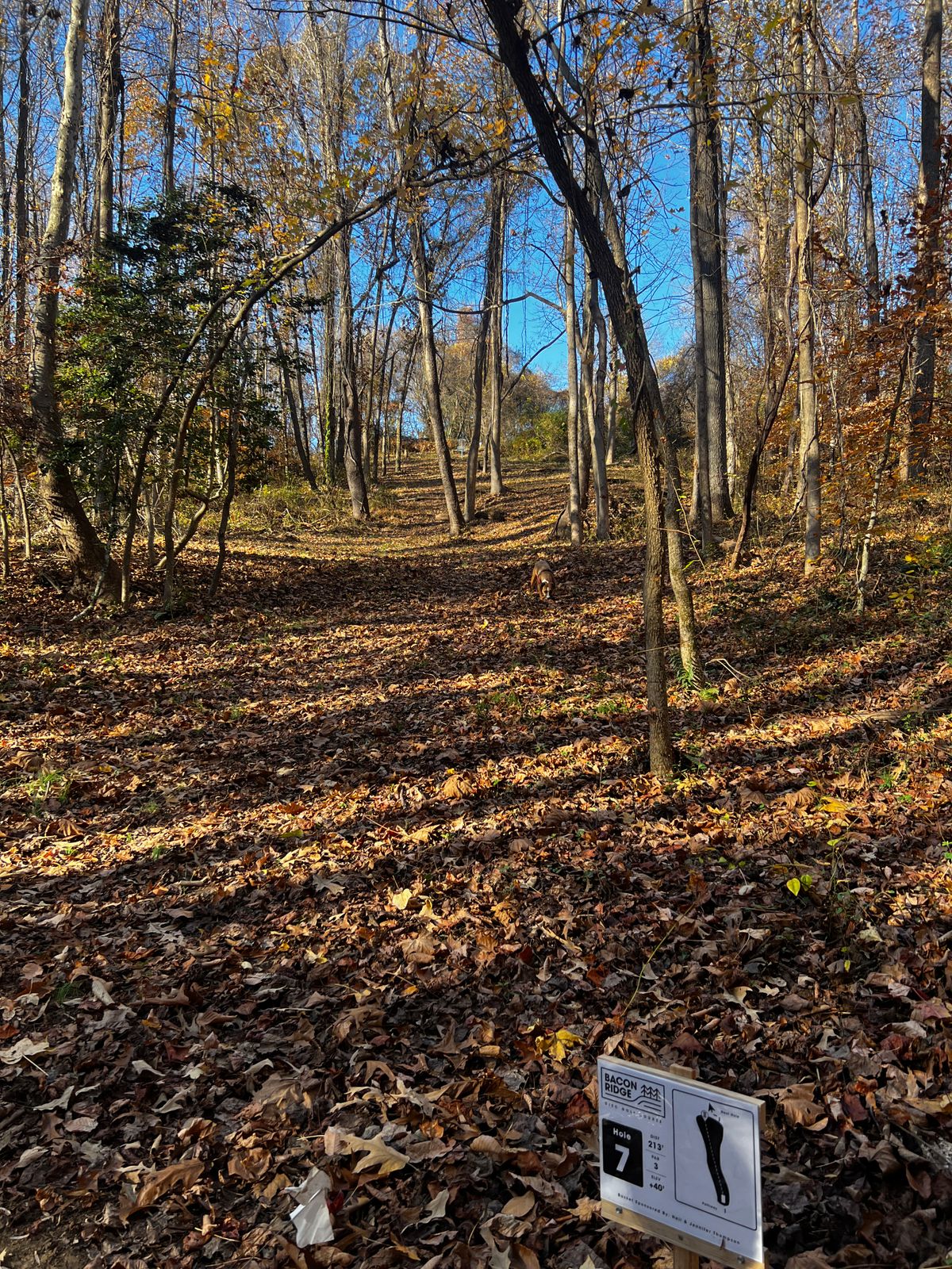 Hole 7 nice uphill. Avoid the left and the right there is a lot of brush and prickly bushes