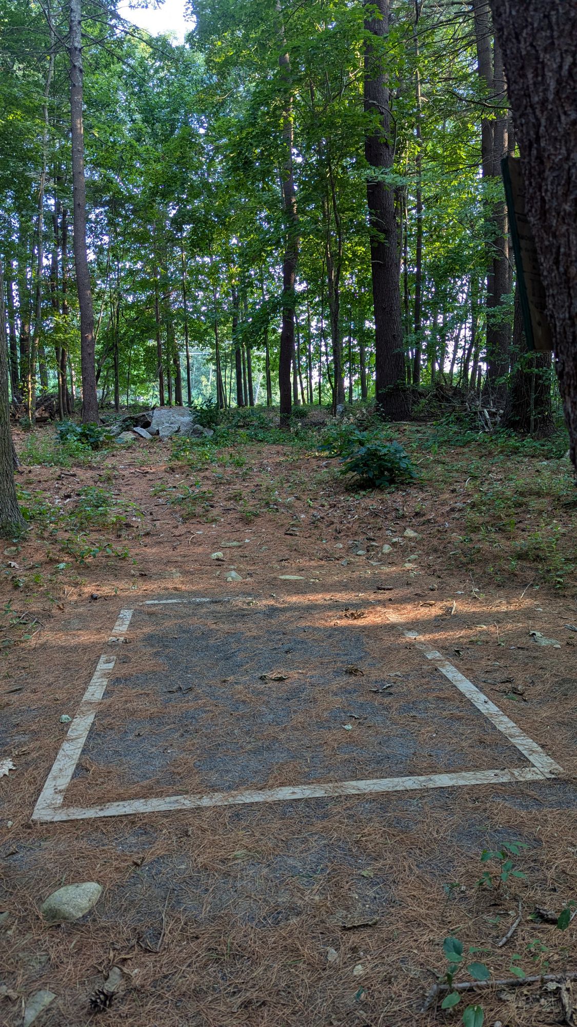 Hole 6 tee, 270' to pin