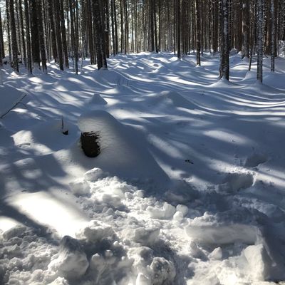 Hole 3 - February 2021
