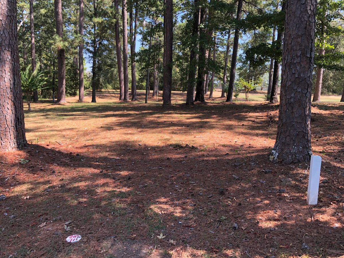 Hole 11