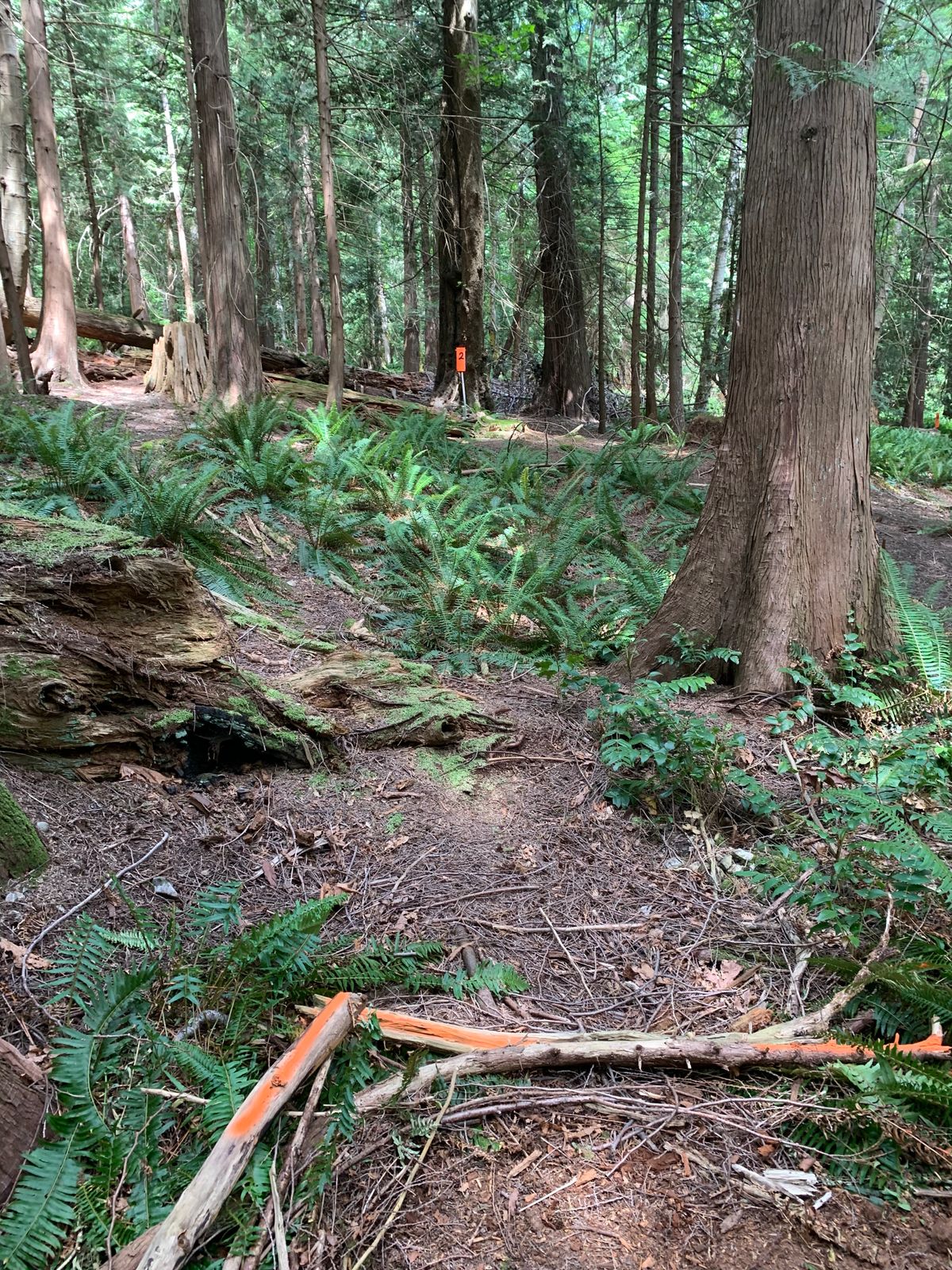 Hole 2 front