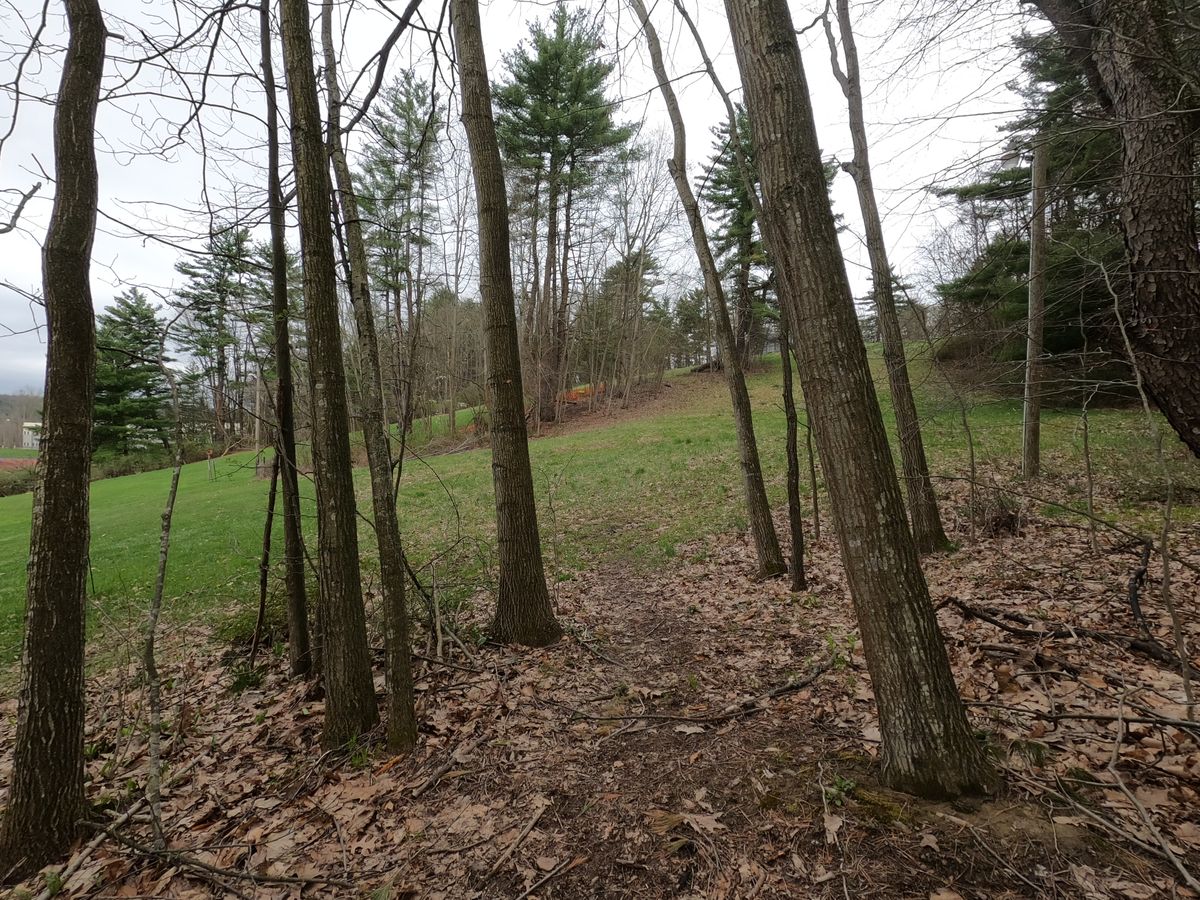 Hole #17 Tee