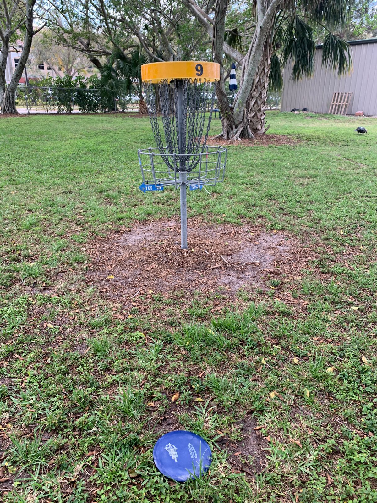 Hole 9 & turns around to hole 10.