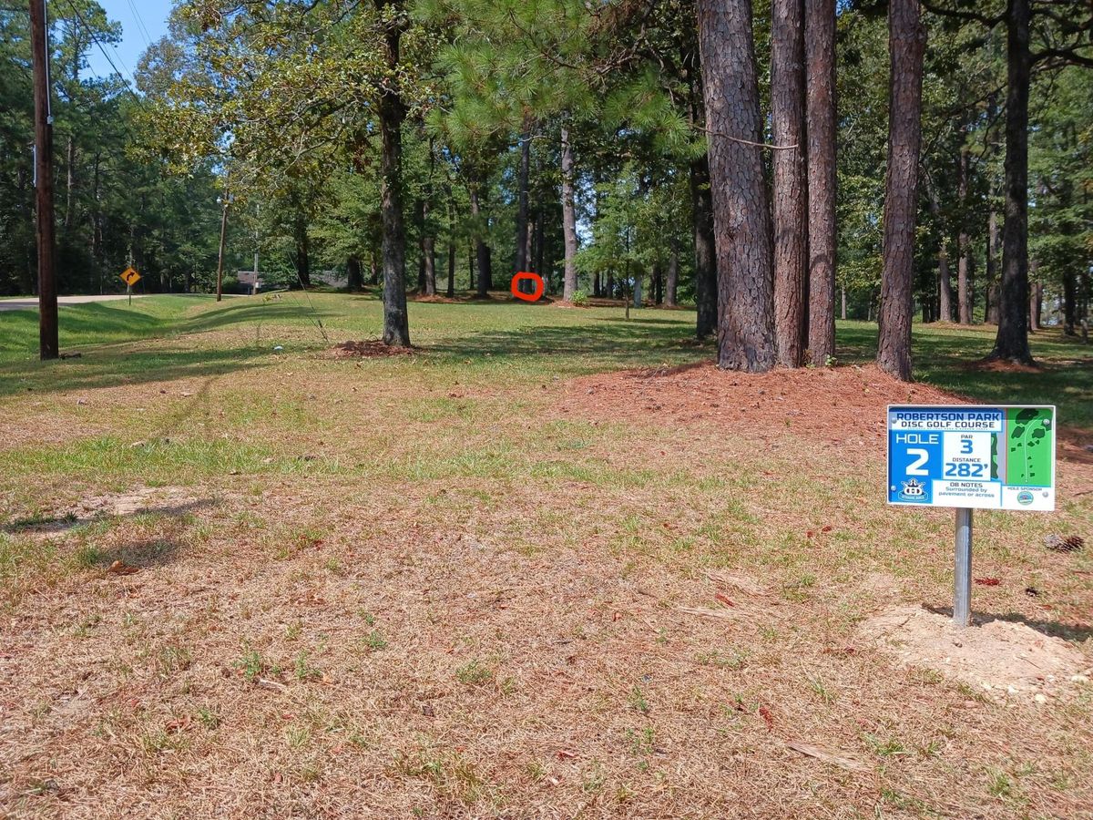Hole 2 basket