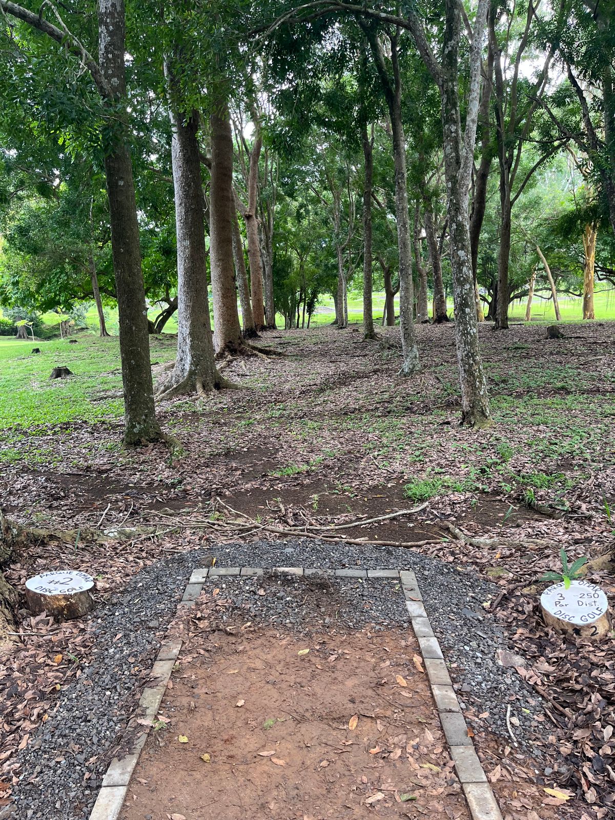 Hole 2 Teebox
