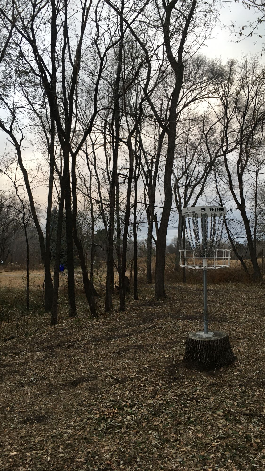 Hole 9 Stump basket