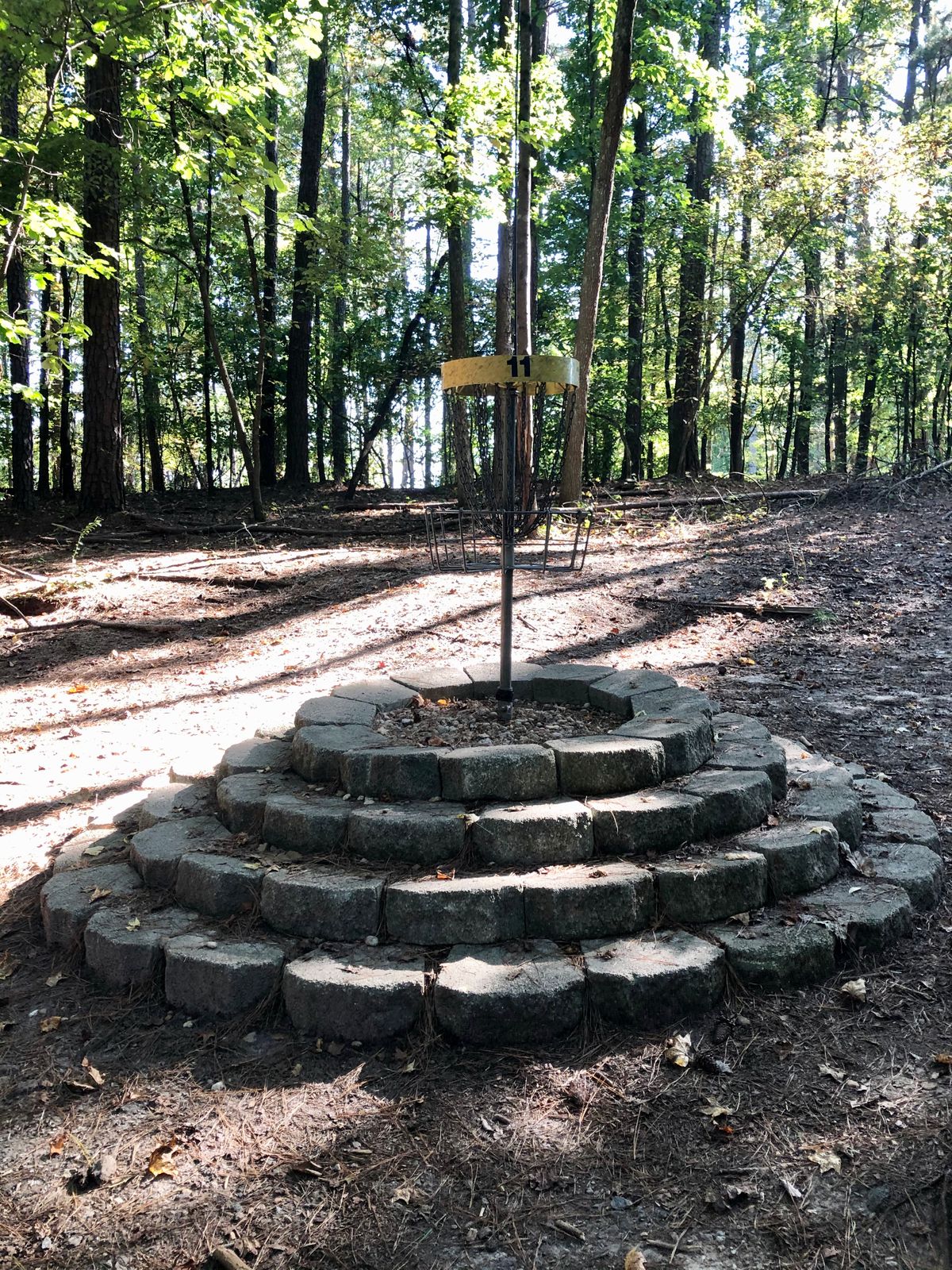 elevated basket location on new hole 11