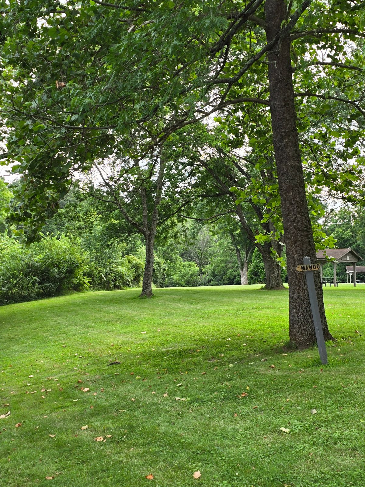 Hole 8 tee