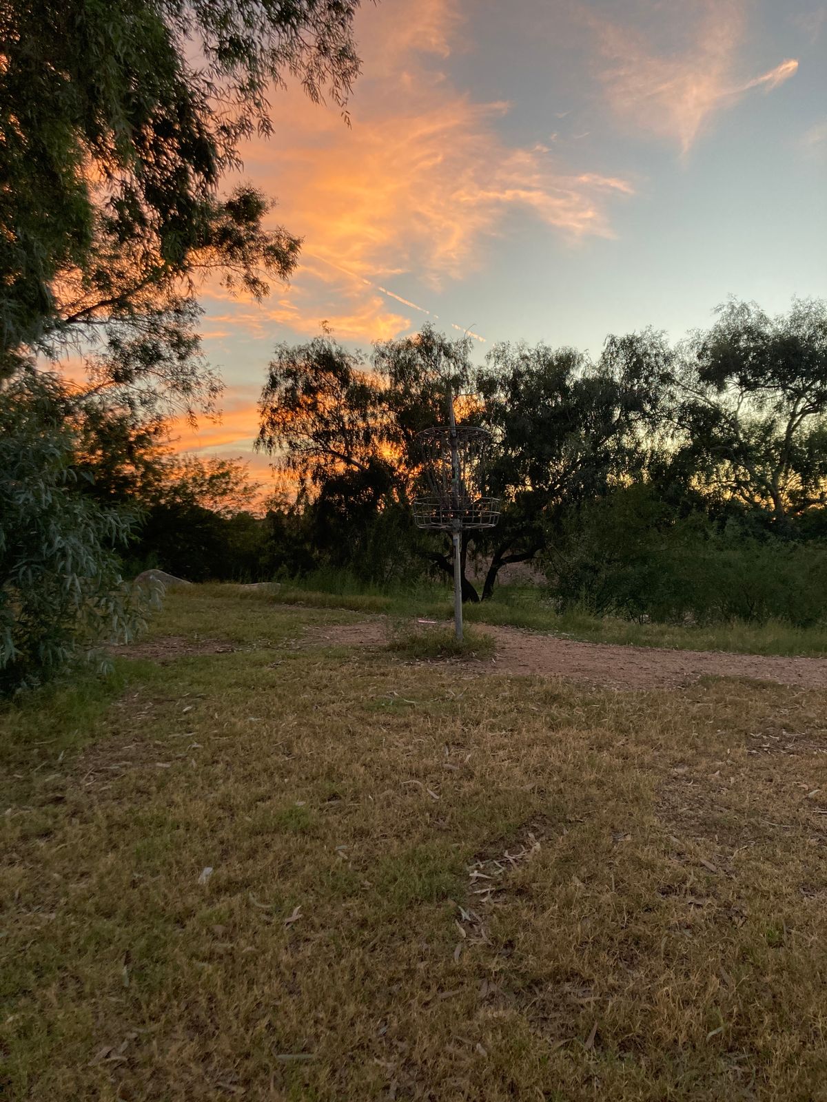 Hole 7