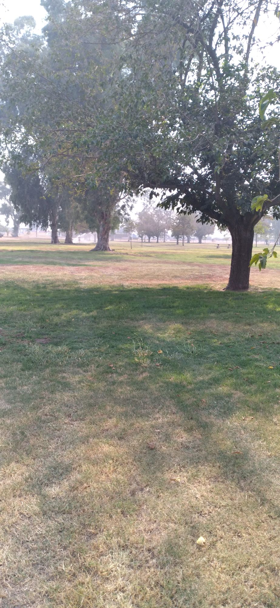 Nice layout.clean little course.