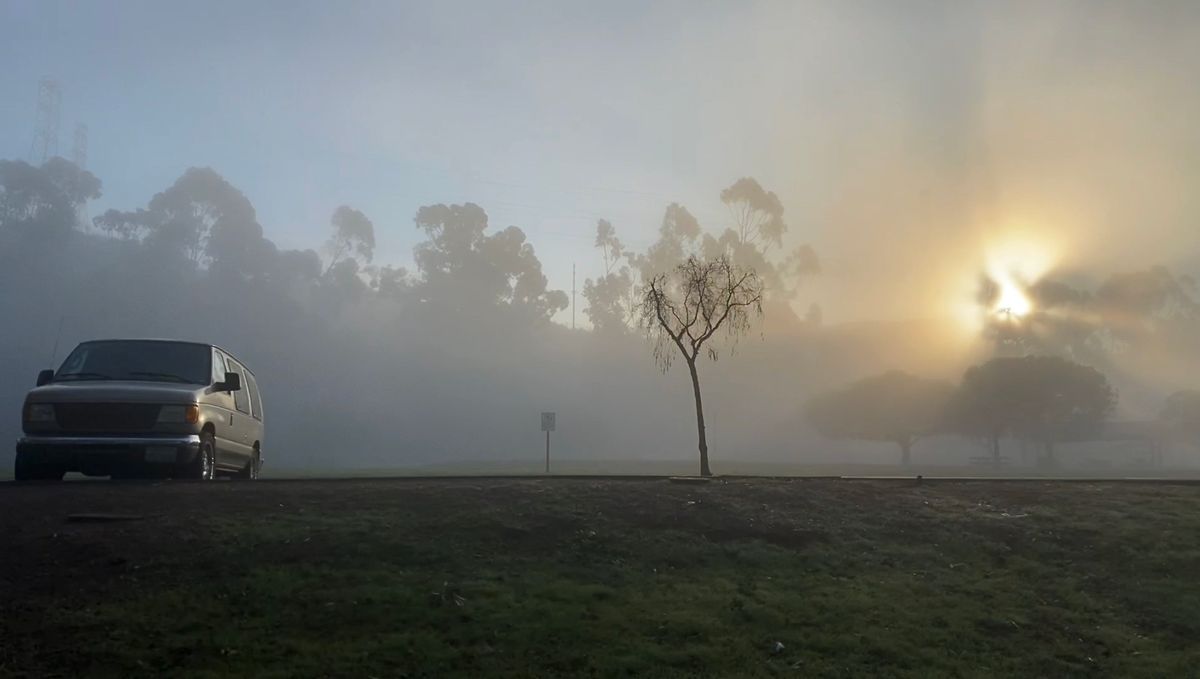 Early Mornin’ Hahn...