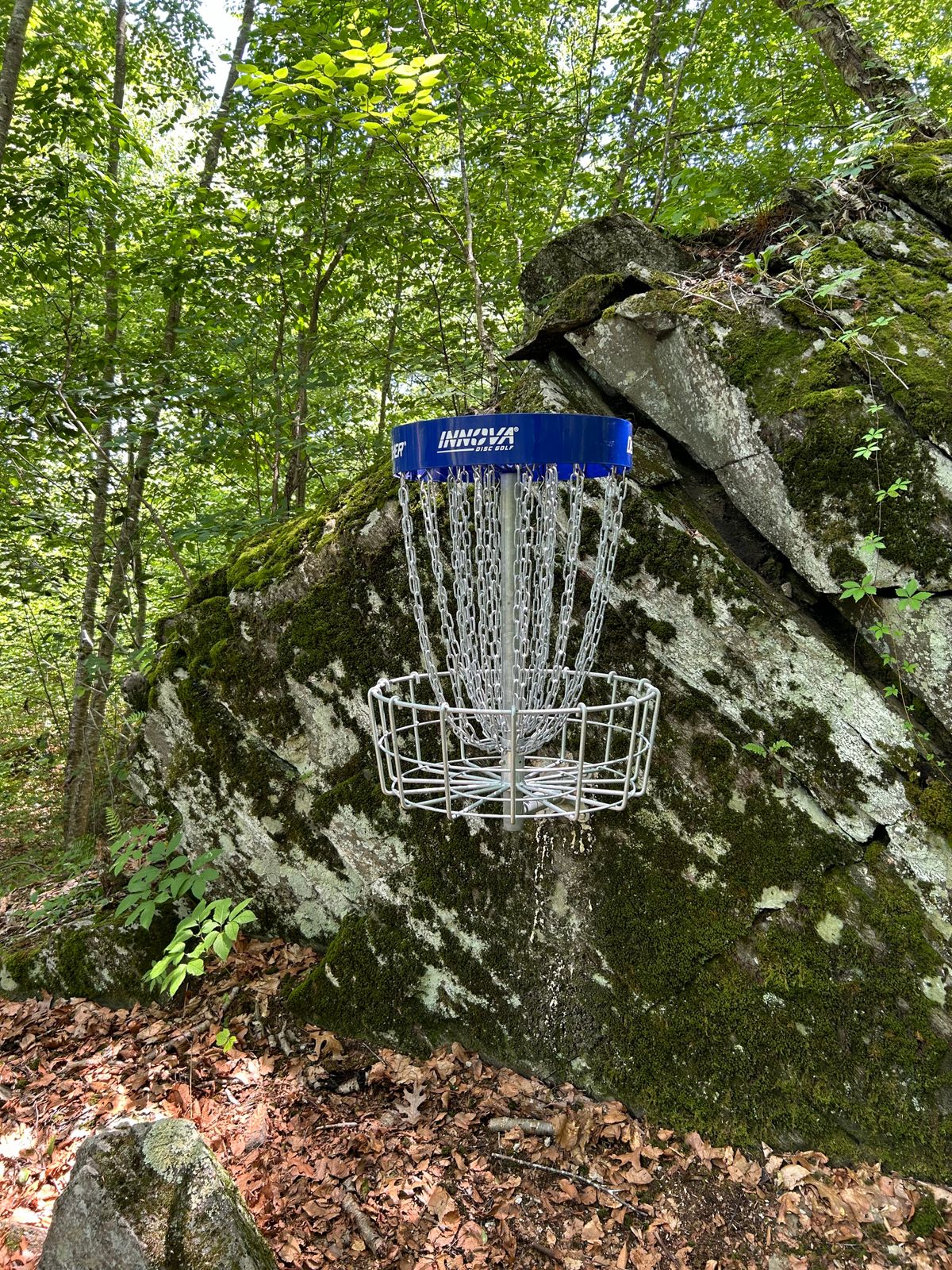 Levitating basket