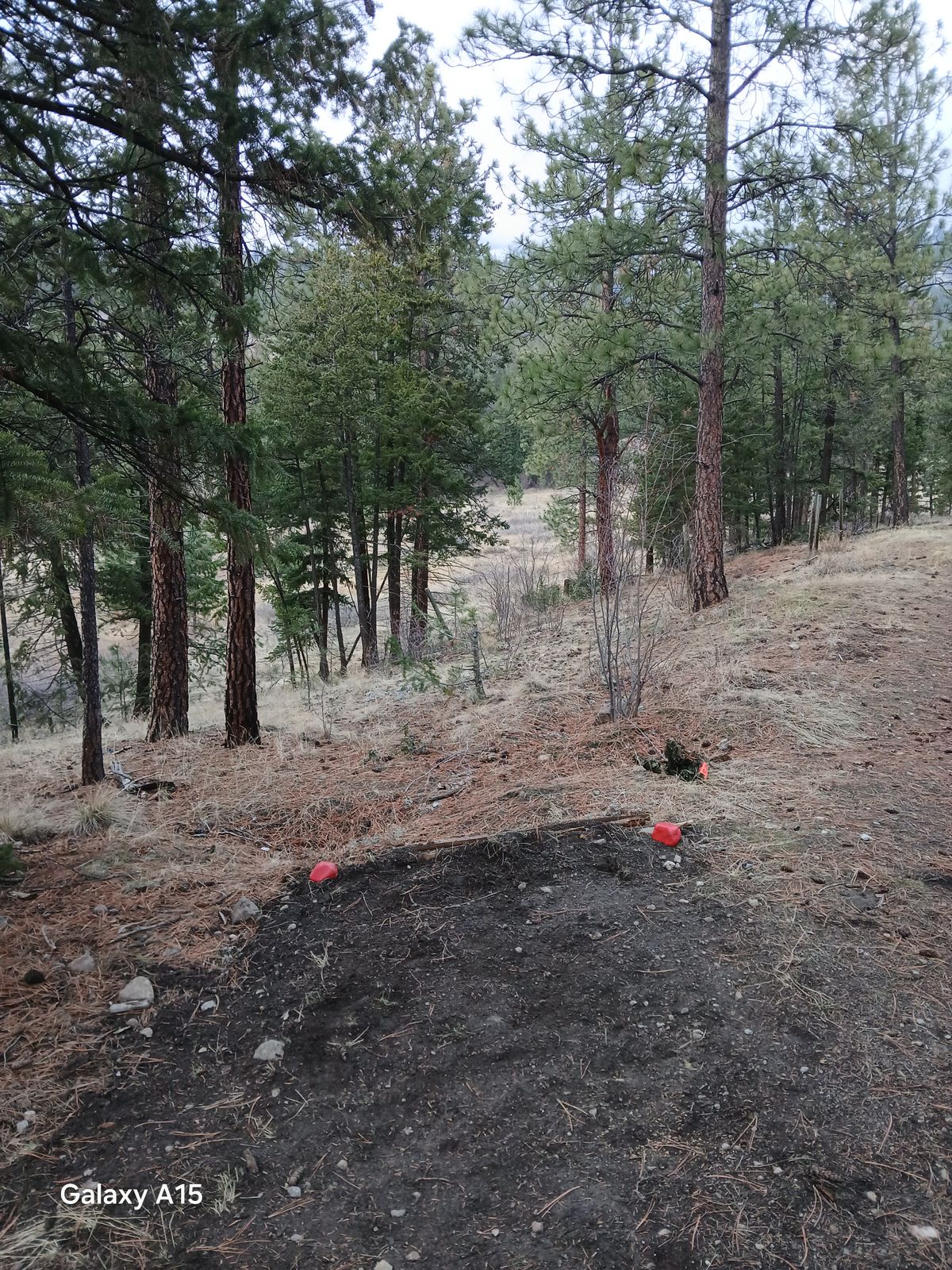 3 tee pad