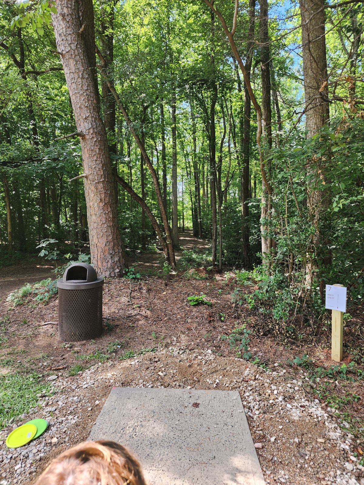 Hole 7 tee