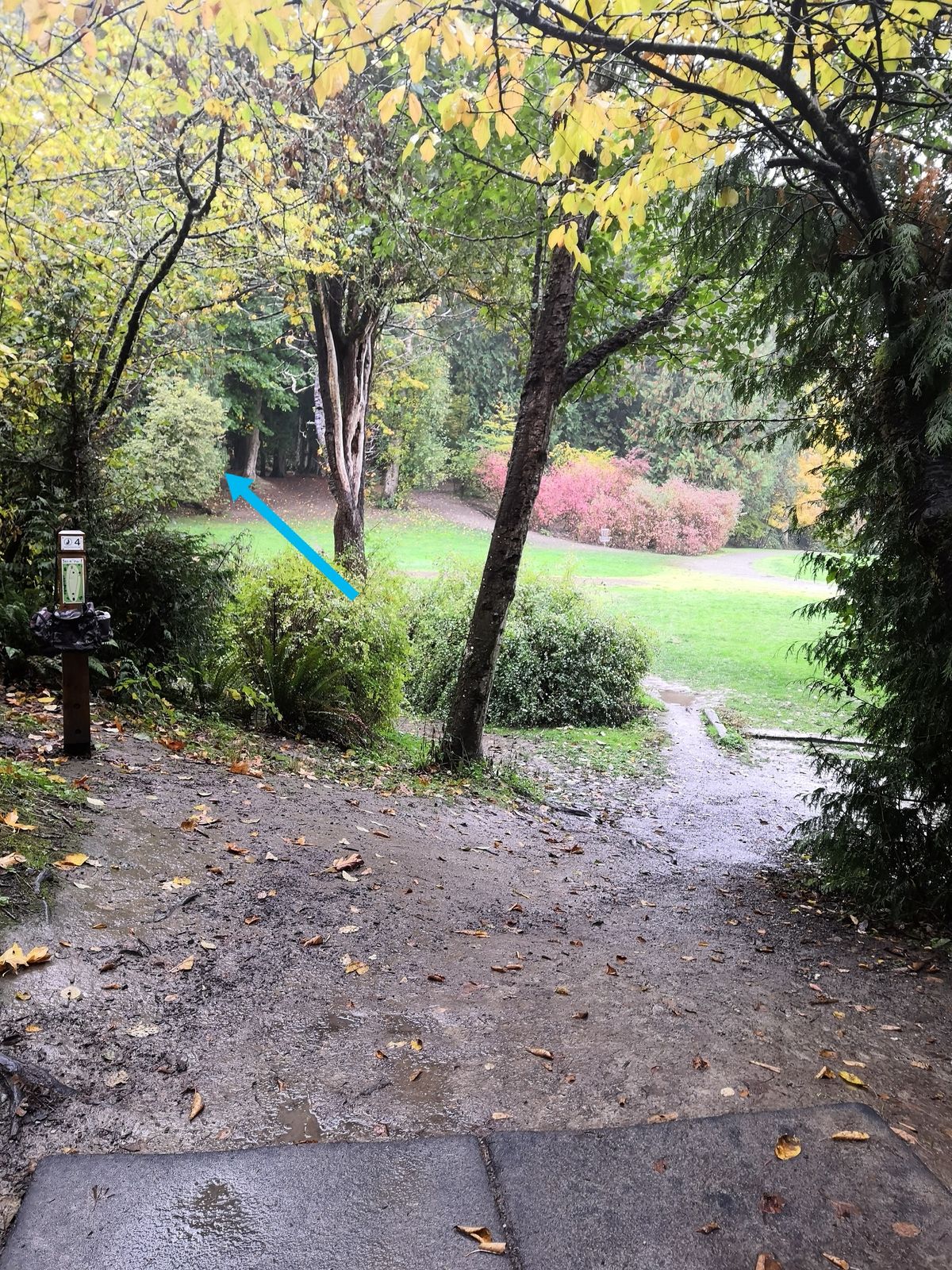 Hole 4, up behind the trees to the left