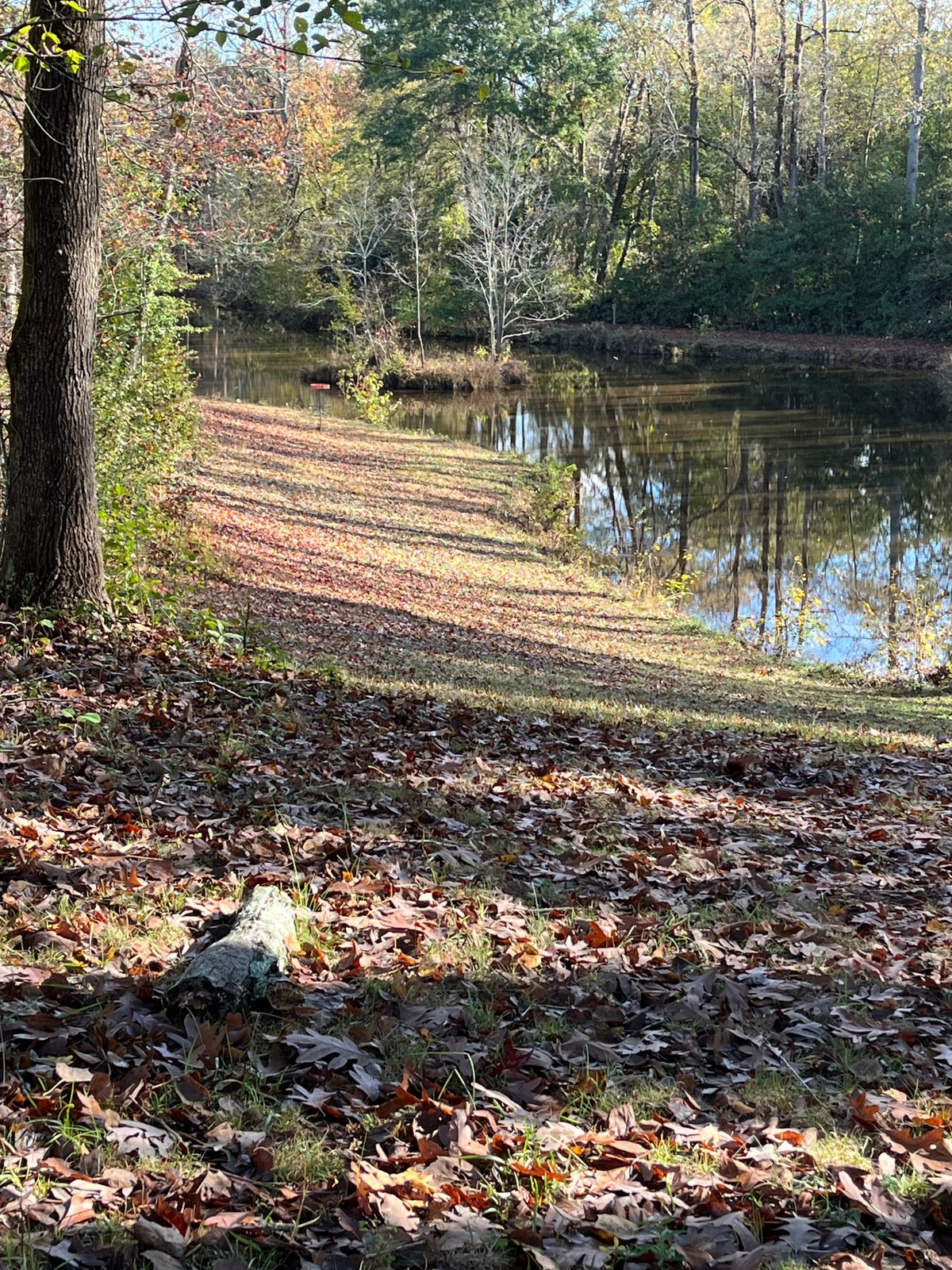 Looking down at hole 2