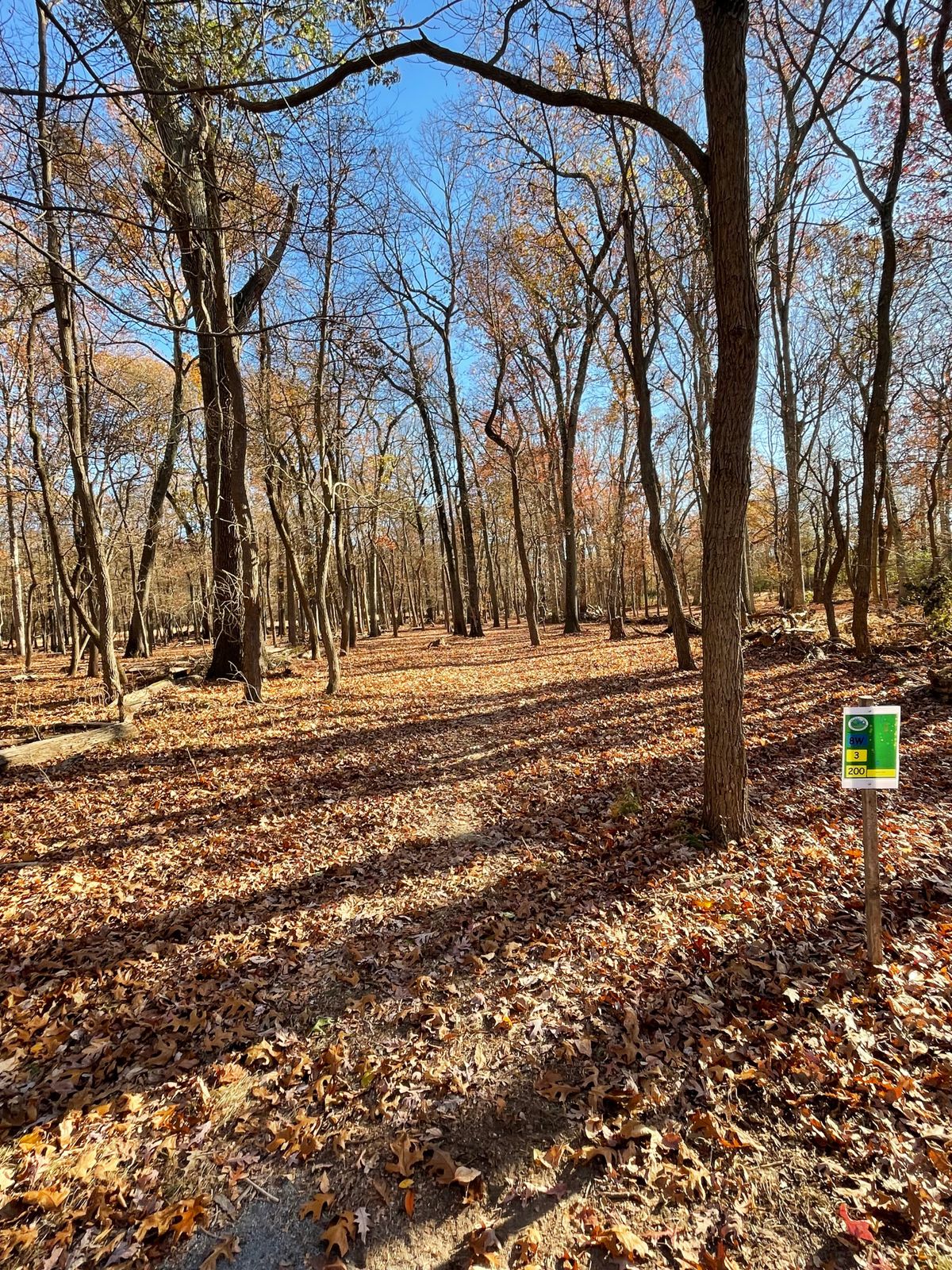 Mercer County West Hole 8