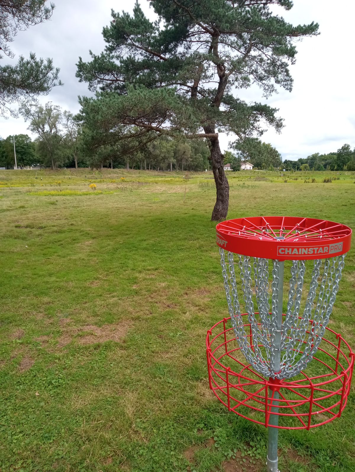 Hole 5 back to tee