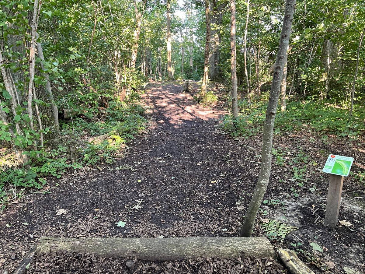 Hole 8