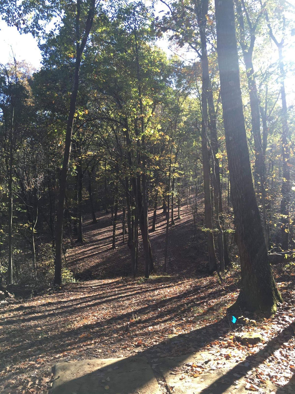 Hole 4 middle tee