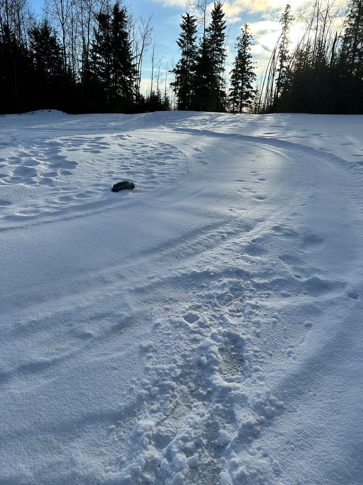10 groomed fairway