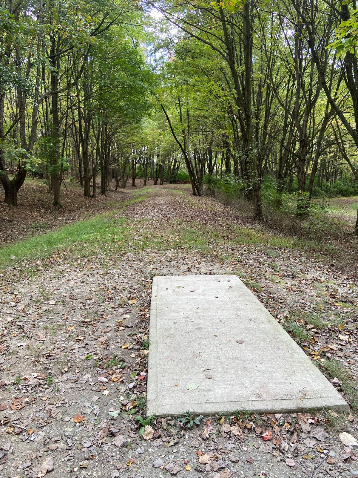 Hole 8