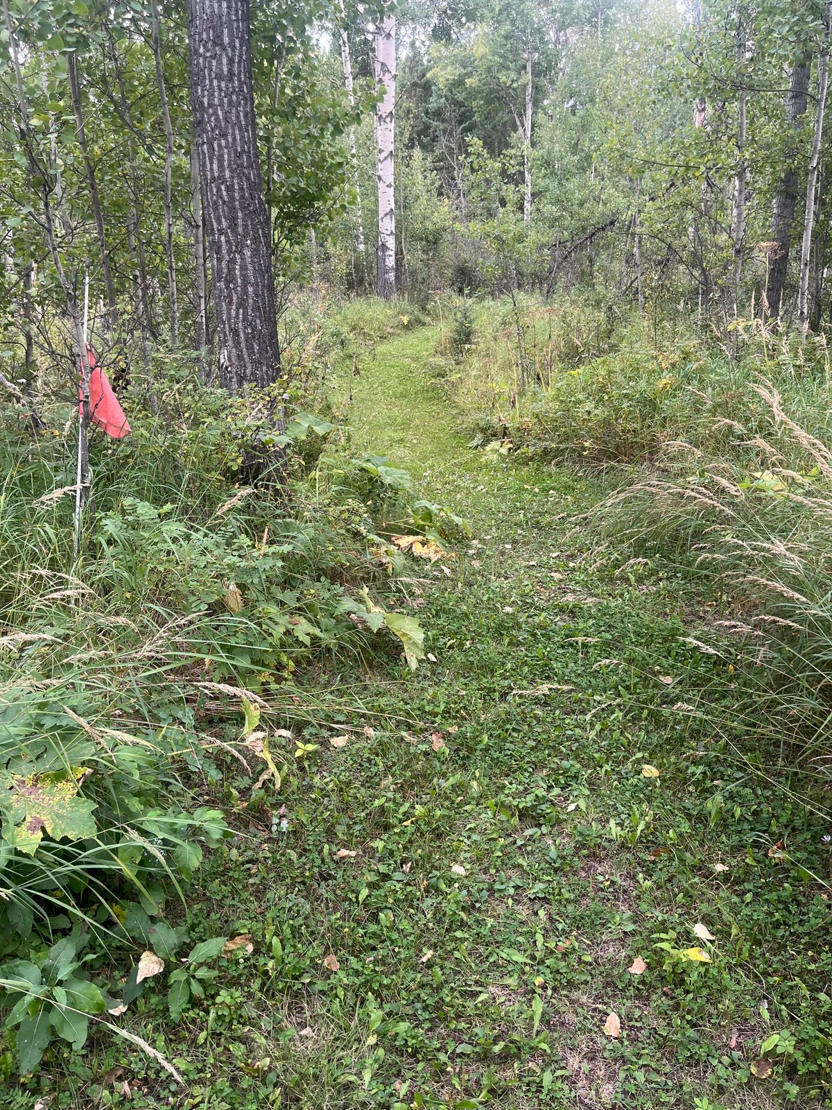 5th Tee