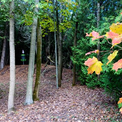 Hole #6 “Mossport”