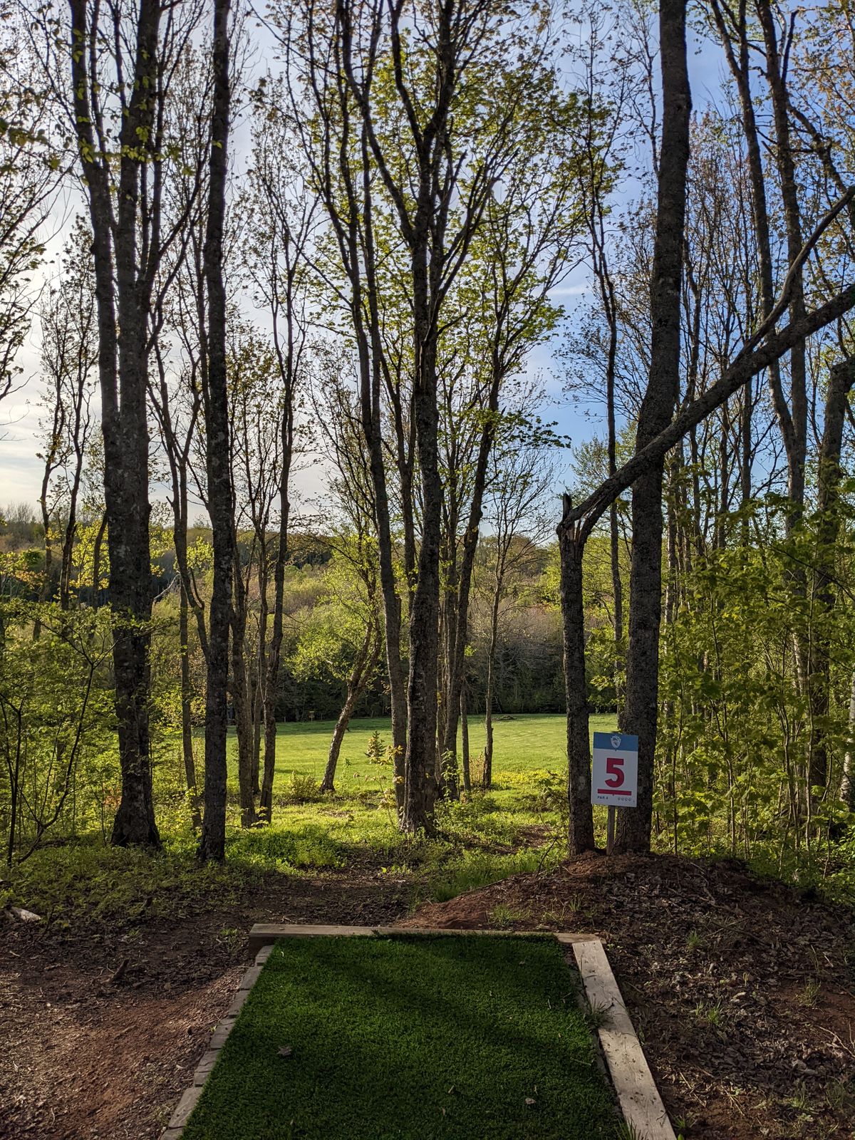 Hole 5 tee