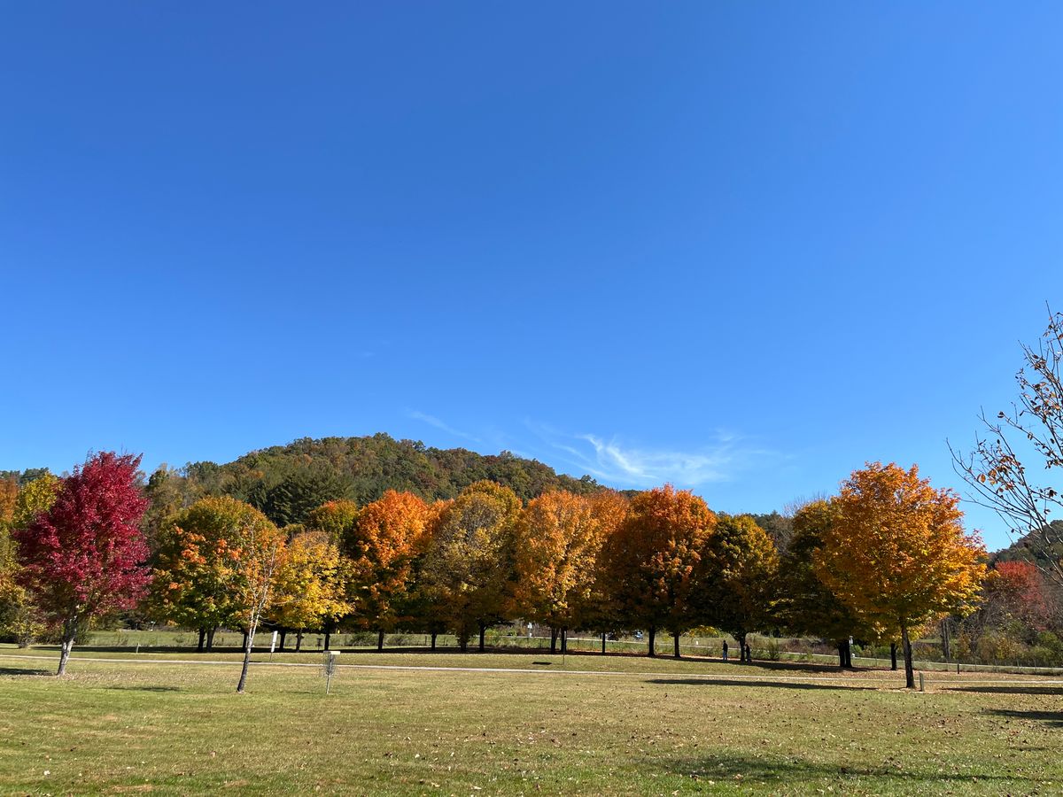 Fall in the beautiful mountains.