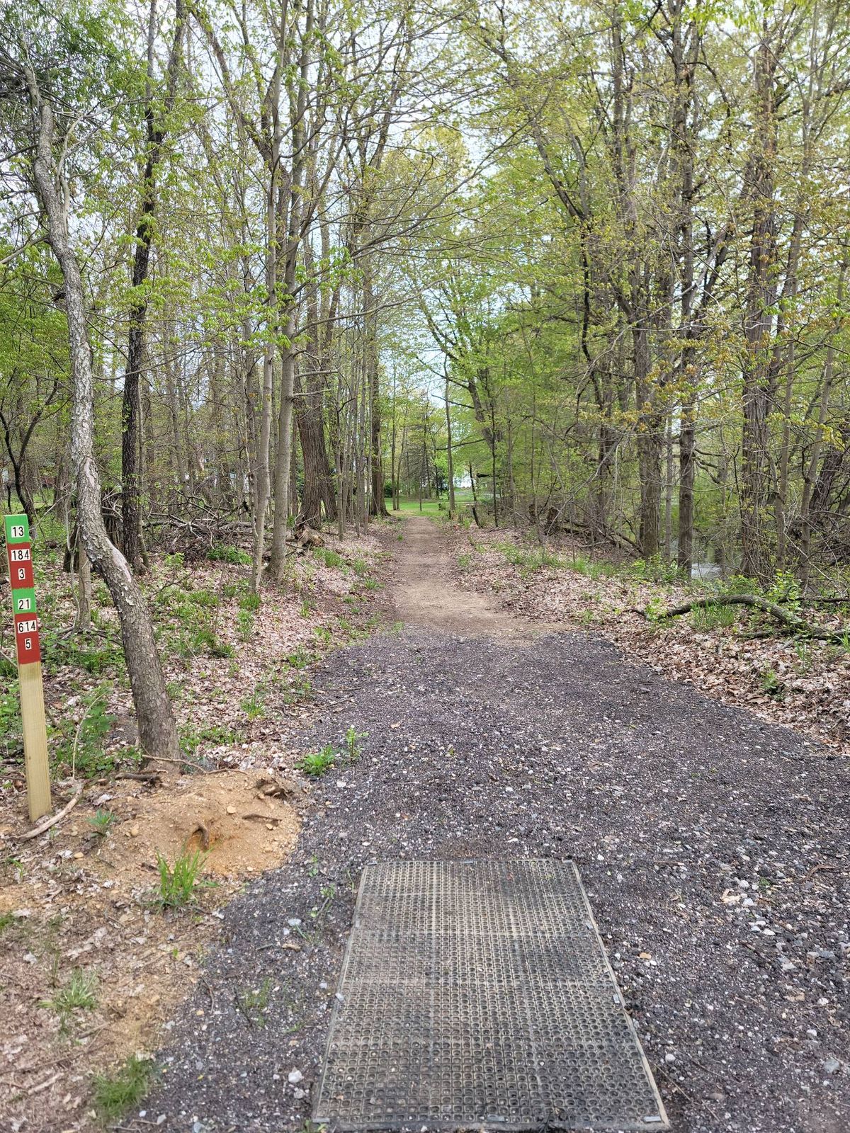 Hole #21