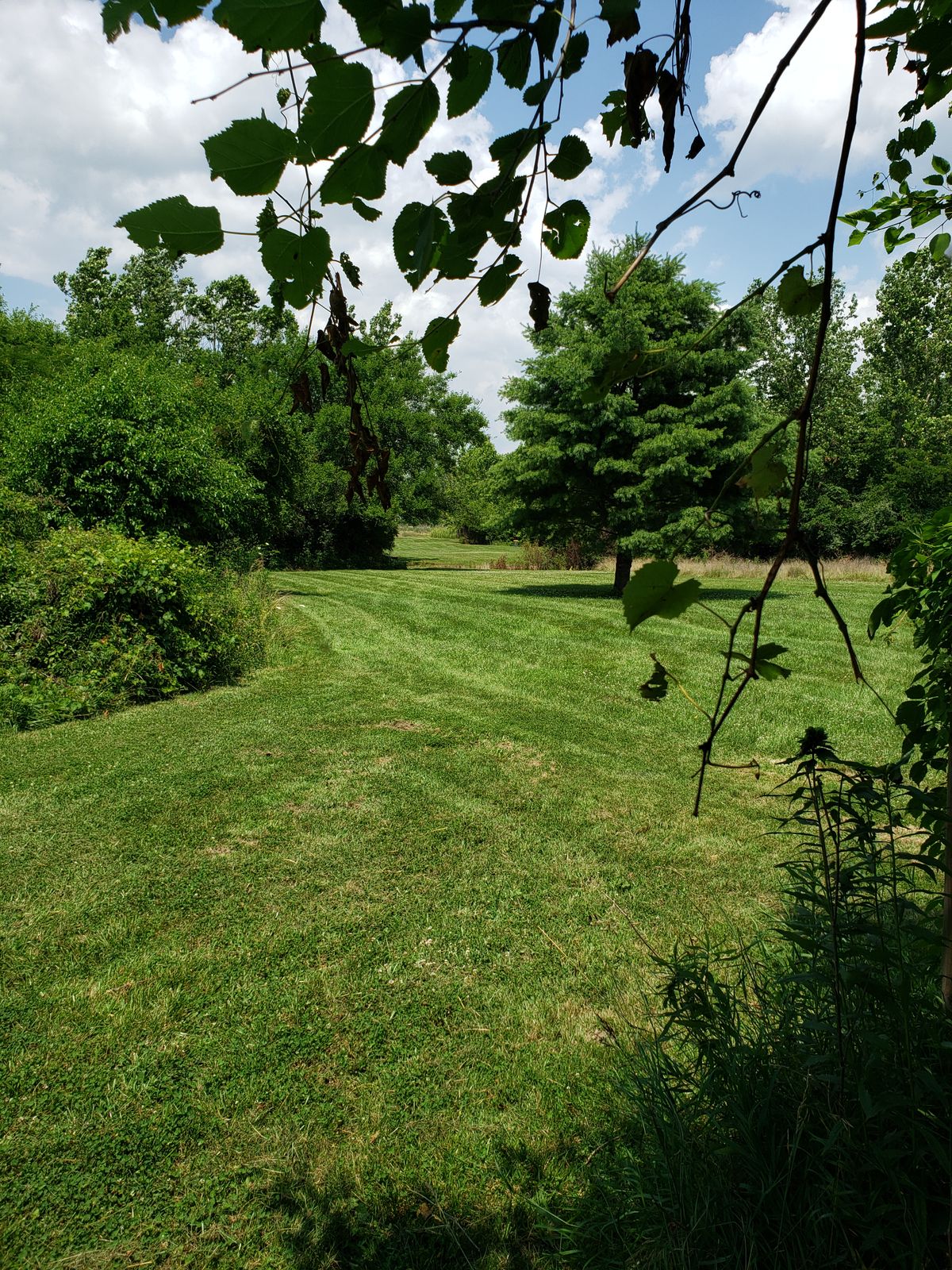 #6 Fairway view toward foot bridge and ditch.