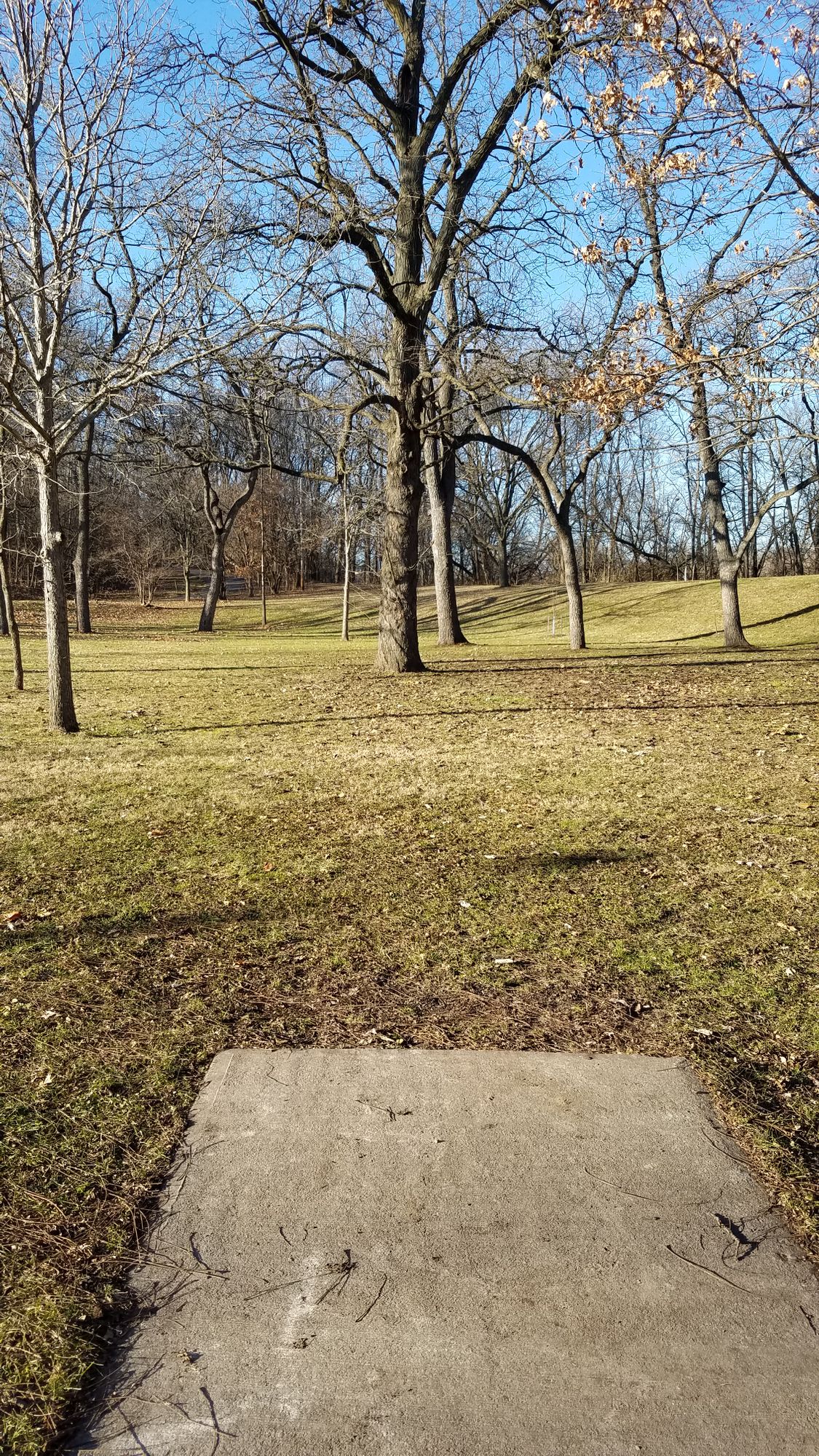 Teepad on #8.
