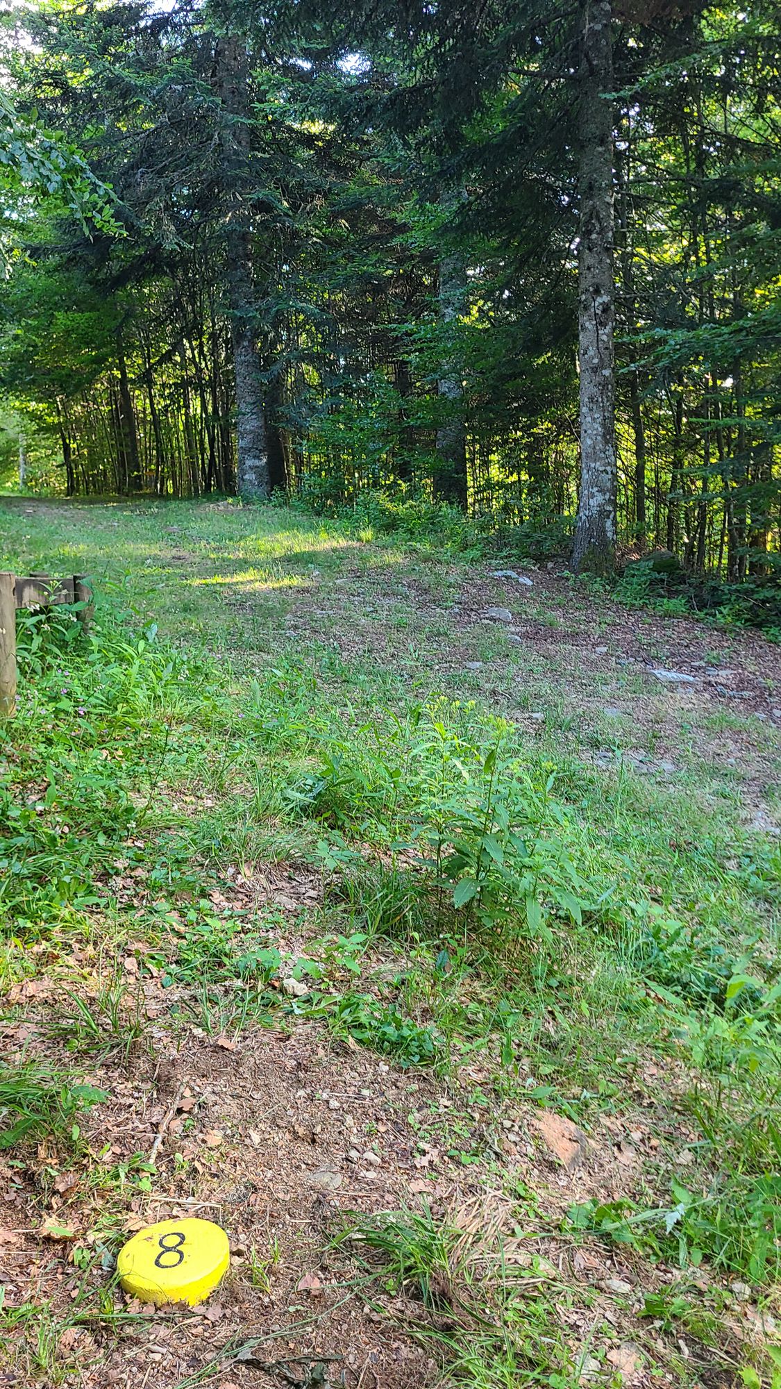 8 Débutant