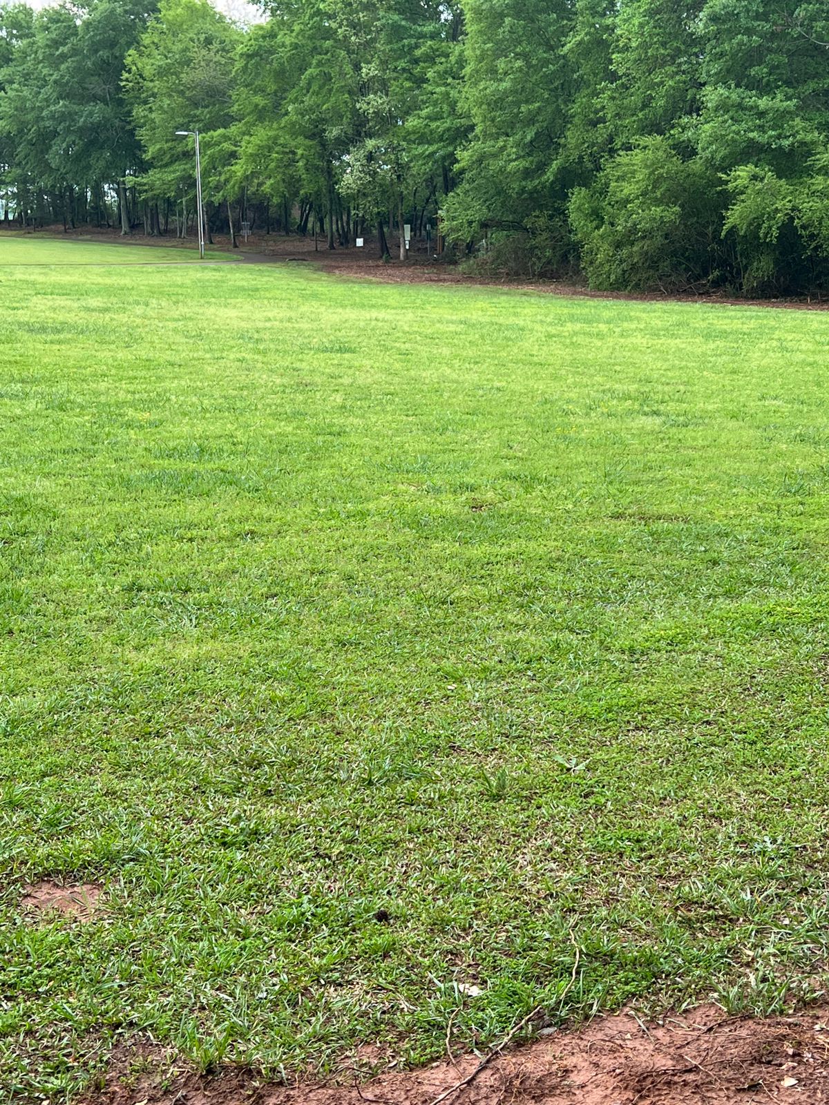 Hole 3 lets you stretch out your arm driving across the open field. The basket is too the right.
