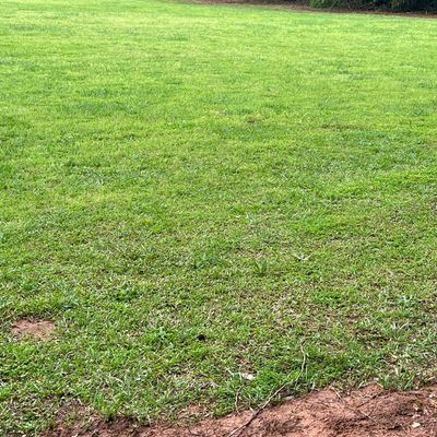 Hole 3 lets you stretch out your arm driving across the open field. The basket is too the right.