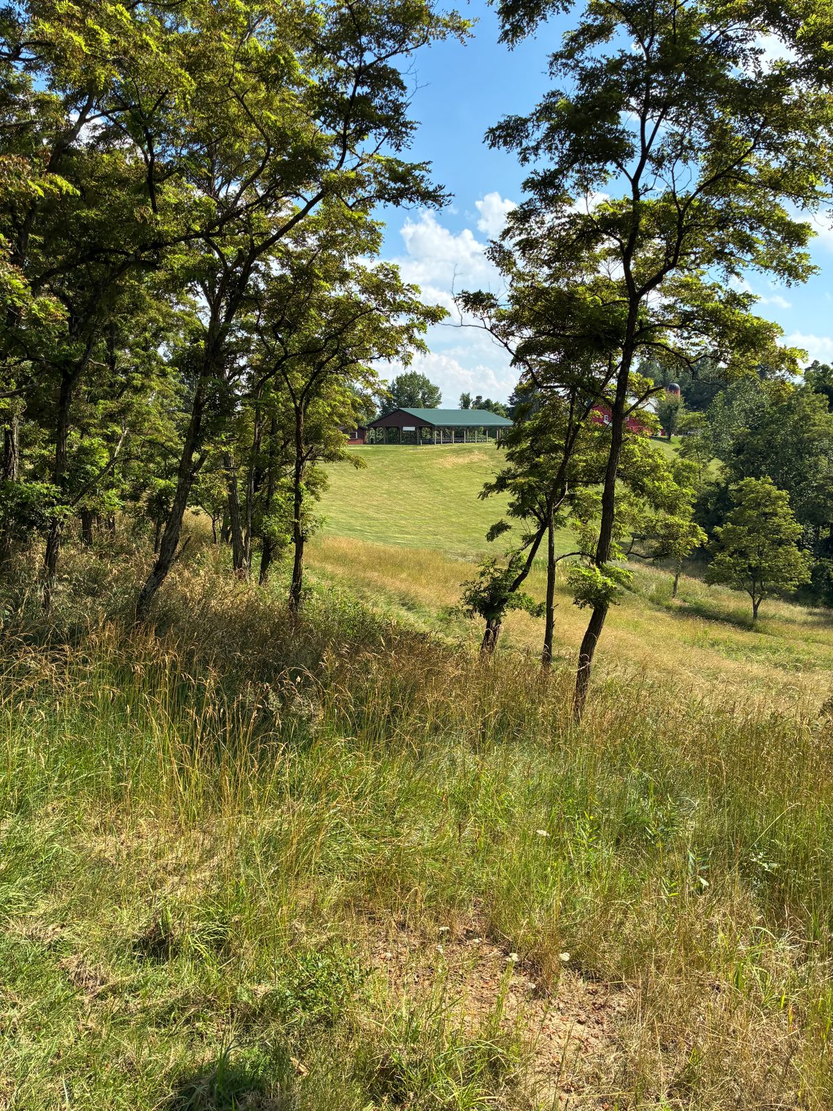 #15 Tee Box.