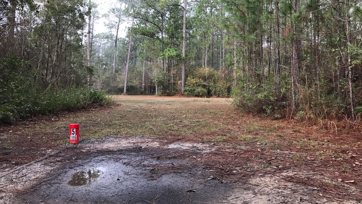 Hole 5