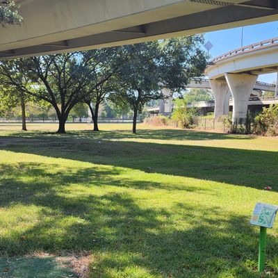 Hole 15
📸: Counterspin Discs