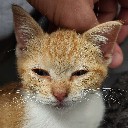 User avatar image