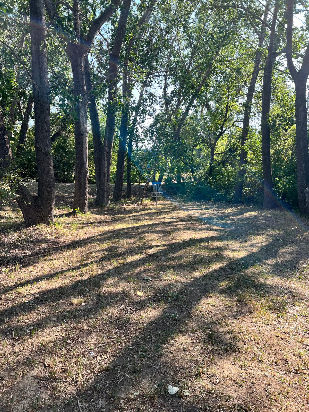 Hole 5. All roads are out of bounds.