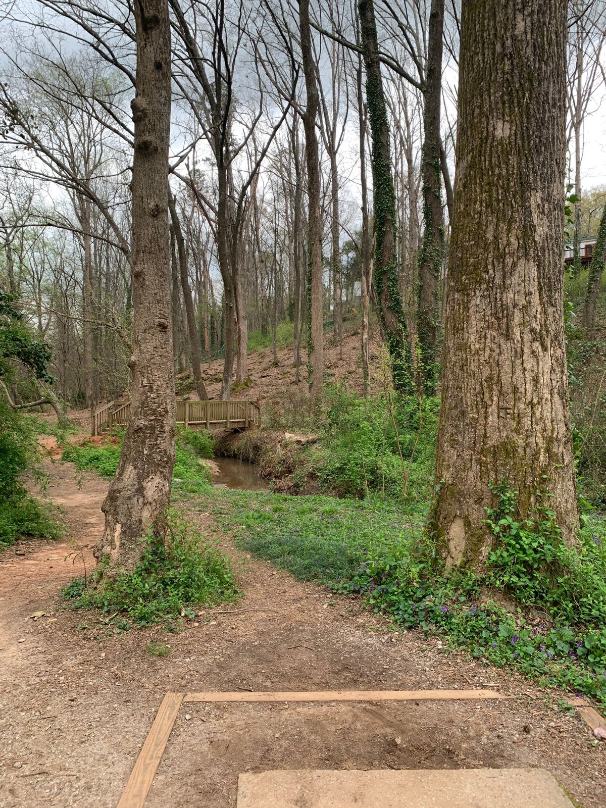 Play through the trees