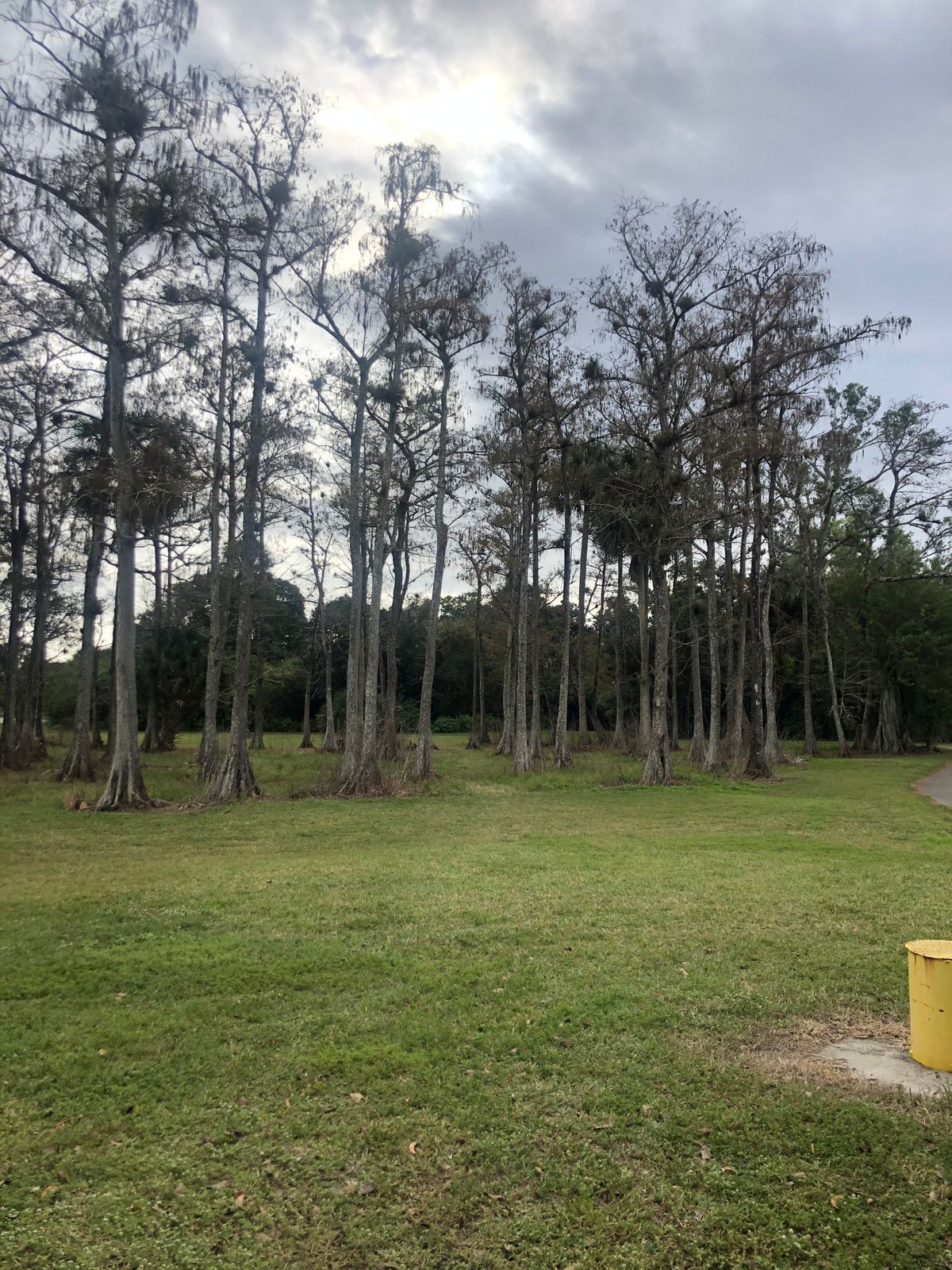 Hole 14