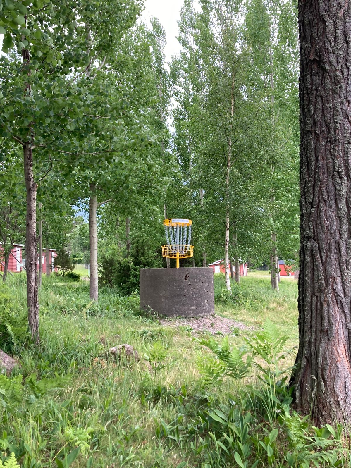 Green hål 7