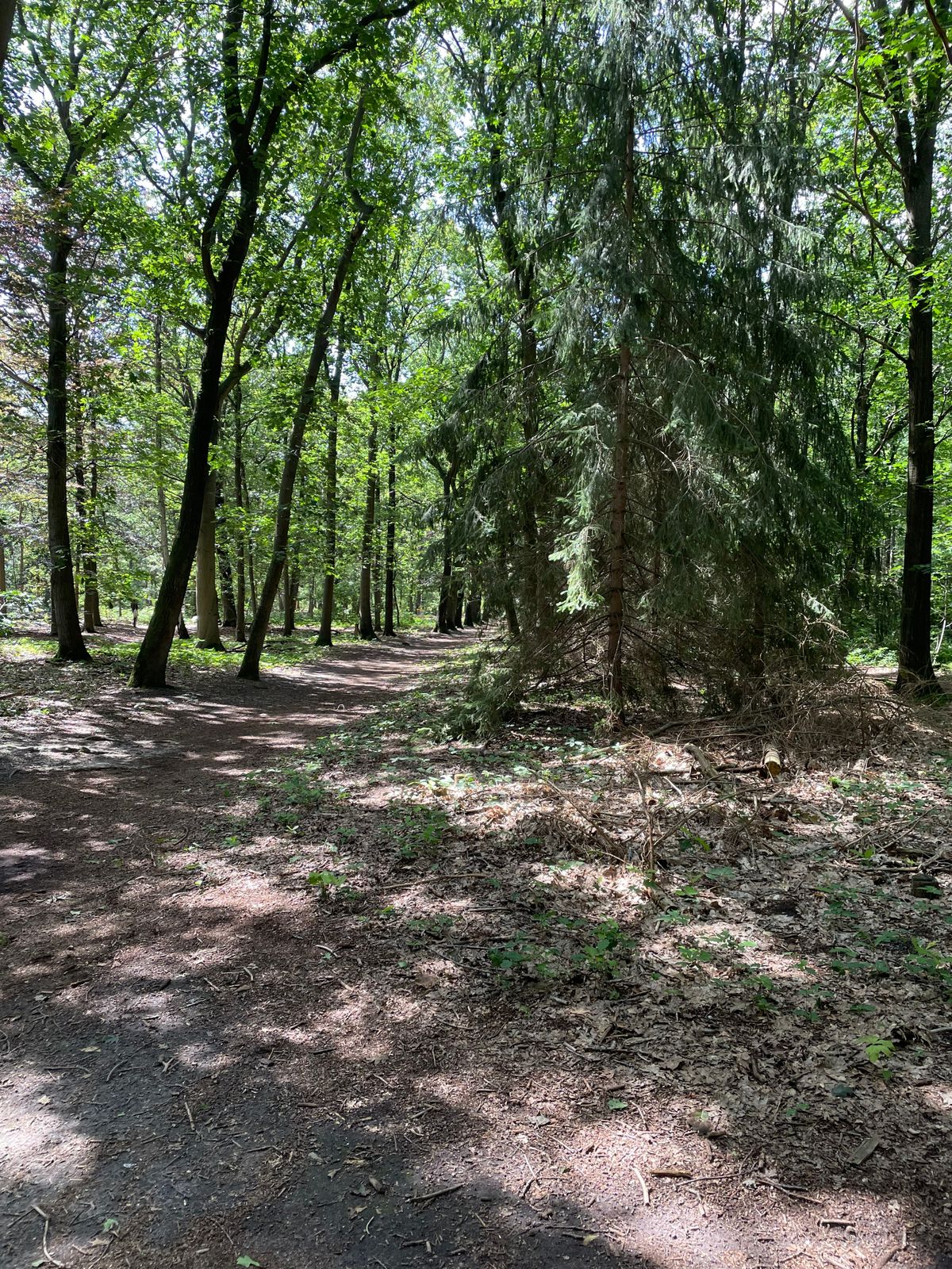 hole 6